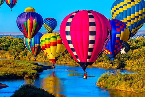 Hot air balloons flying low over the Rio Grande River just after sunrise, Albuquerque International Balloon Fiesta, Albuquerque, New Mexico USA