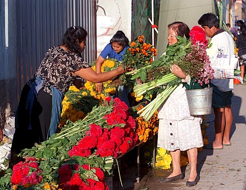 Marigols, or cempasuchitl, for sale to decorate altars and tombs for Day of the Dead. Mexican tradition celebrates Day(s) of the Dead in the last days of October and beginning of November, to honor the visiting spirits of loved ones. Graves and alters are