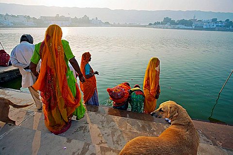 Pilgrims bathing in the Pushkar Holy lake during the Pushkar camel fair, Pushkar, Rajasthan, India, Asia