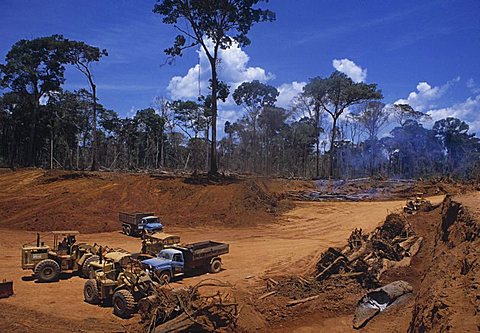 Of rainforest at mining camp in amazon part of brazil, trucks and caterpillars in front of cleared rainforest and burning trees and logs ,rondonia, brazil