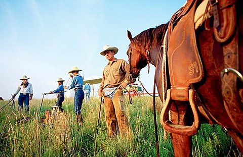 Cowboys and long horn cows herd, Fort-Worth, Texas, USA