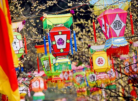 Multicolored handmade lanterns hang from trees in a park during the Chinese New Year Spring Festival, Chengdu, Sichuan, China, Asia