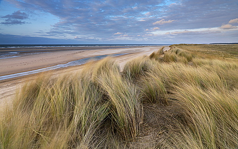 A spring evening at Holkham Bay, Norfolk, England, United Kingdom, Europe