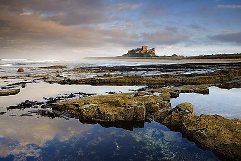 Bamburgh Castle bathed in evening light with foreground of barnacle-encrusted rocks and rock pools, Bamburgh, Northumberland, England, United Kingdom, Europe