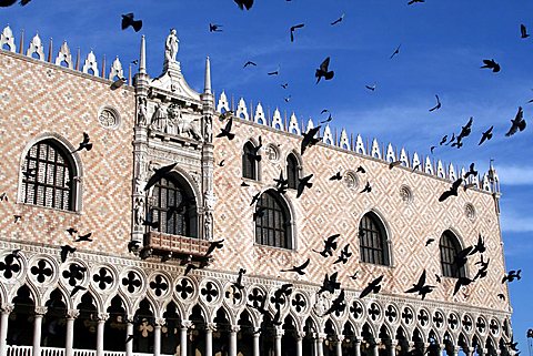 Particular, Doge palace, San Marco square, Venice, Veneto, Italy