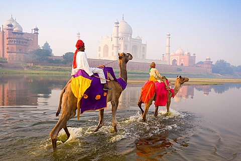 India, Uttar Pradesh, Agra, The Taj Mahal, this Mughal mausoleum has become the tourist emblem of India