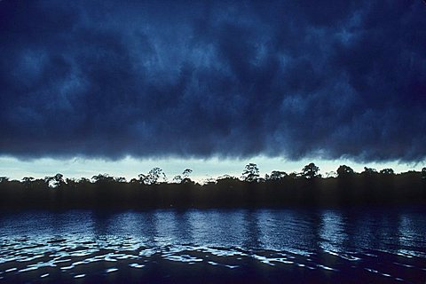 Tropical storm clouds, brazil. Approaching storm the amazon rainforest.