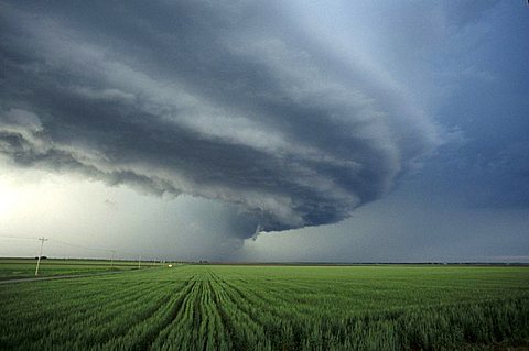 Clouds, usa. Western oklahoma. Severe hailstorm approaching green field of wheat Sp1148787