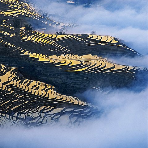 Yuanyang Terrace, Yuanyang, Yunnan Province, China