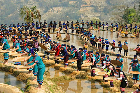 Hani Akha women sifting rice at a festival in Yuanyang China