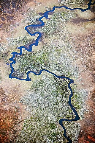 River meanders in wetland, aerial view, Lappland, Sweden