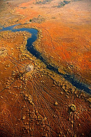 Aerial View of the Okawango Delta, Botswana