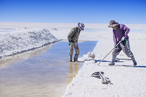 Two Bolivian salt miners extract salt from Uyuni salt flats, Salar de Uyuni, Bolivia, South America