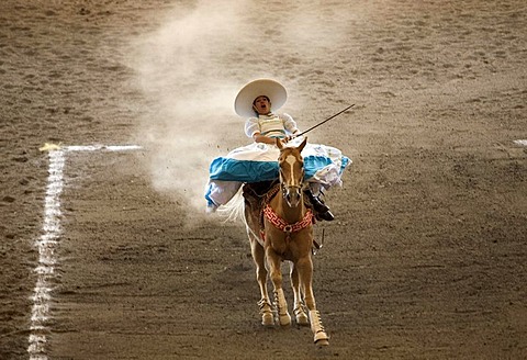An Amazona rides her horse at an Escaramuza competition in Mexico City, May 24, 2008. Escaramuzas are similar to US rodeos, where female competitors called "Amazonas" wear long skirts, and ride side saddle. Male rodeo competitors are "Charros," from which