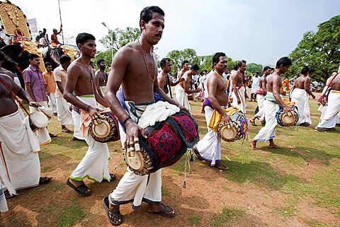 Musicians of the Chenda Melam rhythmic orchestra, Thrissur Pooram festival, Thrissur, Kerala, India, Asia