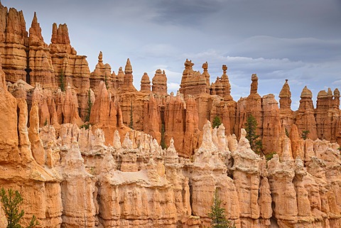 Bryce Canyon National Park, Utah, United States of America, North America