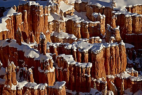 Hoodoos with fresh snow, Bryce Canyon National Park, Utah, USA