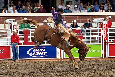 Calgary Stampede, Stampede Park, Calgary, Alberta, Canada, North America