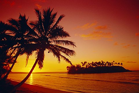 Silhouette of palm trees and desert island at sunrise, Rarotonga, Cook Islands, South Pacific