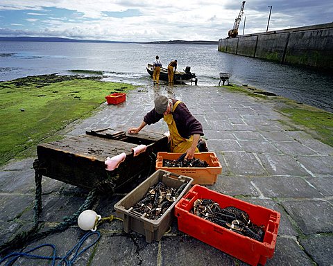 Lobster fishing in Ireland, Inishmaan, Aran Islands, County Galway, Ireland