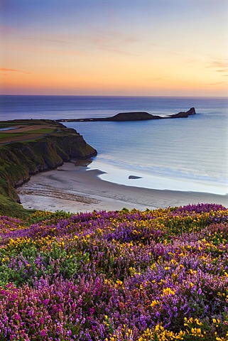 Rhossili Bay, Worms End, Gower Peninsula, Wales, United Kingdom, Europe