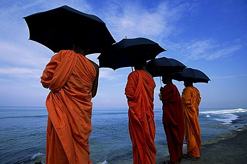 Buddhist monks watching the Indian Ocean, Colombo, island of Sri Lanka, Asia