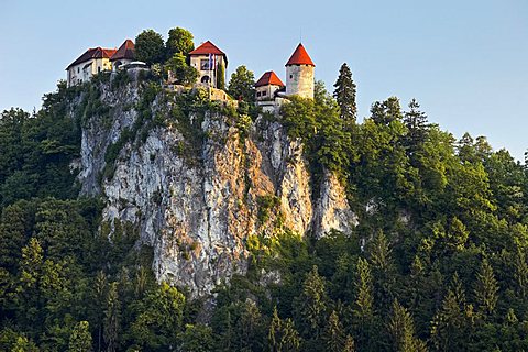 Bled Castle, Bled, Slovenia, Europe