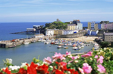 Tenby, Pembrokeshire, Wales, United Kingdom, Europe