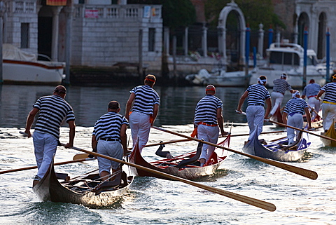 Regata Storica 2012, Venice, Veneto, Italy, Europe