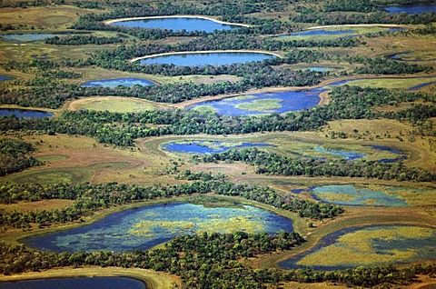 Lagoons during dry season (aerial), Pantanal, Brazil