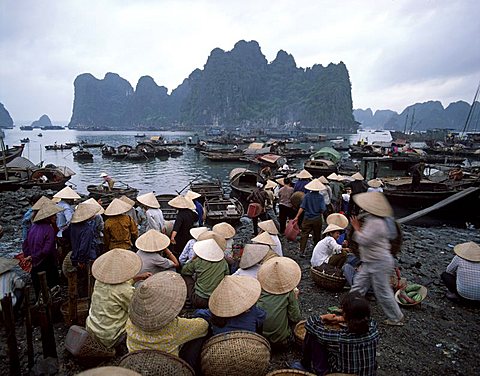 Halong Bay, Vietnam, Indochina, Southeast Asia, Asia