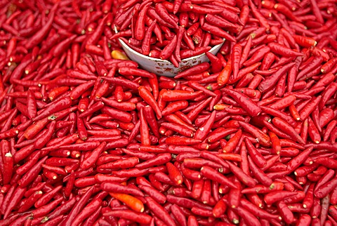 Chillies at Sunday market at Bac Ha, Vietnam, Indochina, Southeast Asia, Asia