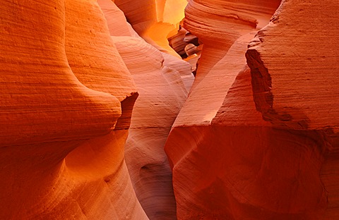 Red sandstone of the Moenkopi Formation, rock formations, colours and structures at Lower Antelope Slot Canyon, Corkscrew Canyon, Page, Navajo Nation Reservation, Arizona, USA