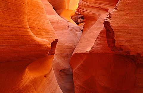 Red sandstone of the Moenkopi Formation, rock formations, colours and structures at Lower Antelope Slot Canyon, Corkscrew Canyon, Page, Navajo Nation Reservation, Arizona, USA