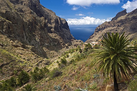 Mountain village of Masca in the Teno mountains, Tenerife, Canary Islands, Spain, Europe