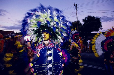 Man in Carnival costume, Mardi Gras, Carnival, Port of Spain, Trinidad and Tobago