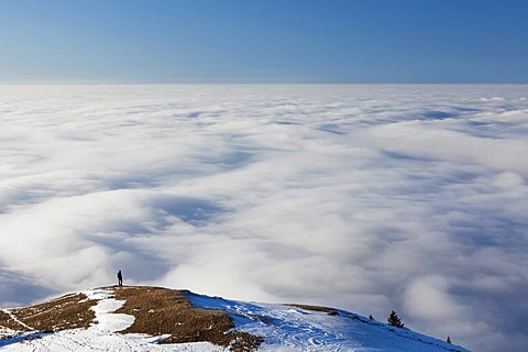 Lonely hiker walking above a sea of fog, low clouds, on Faehnerenspitze mountain in the Appenzell region, Switzerland, Europe