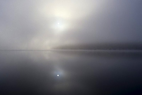 Early morning mist over Lake Schluchsee in winter, Hochschwarzwald, Upper Black Forest, Baden-Wuerttemberg, Germany, Europe
