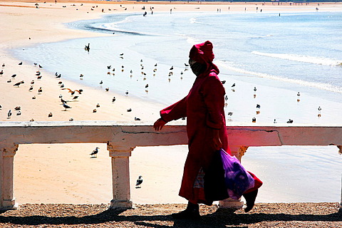 Beach of Essaouira Morocco