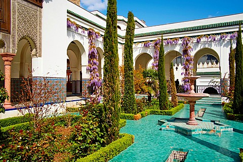 France, Paris, Paris Mosque, wisteria flower.
