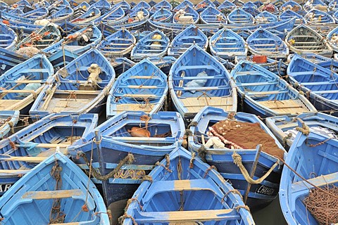 Blue fishing boats in the harbour, Essaouira, Morocco, Africa