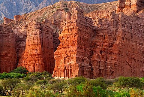 Argentina, South America, Red Rock Canyon, Quebrada de las Conchas, Cafayate, Salta, South America, erosion, landscape. Argentina, South America, Red Rock Canyon, Quebrada de las Conchas, Cafayate, Salta, South America, erosion, landscape