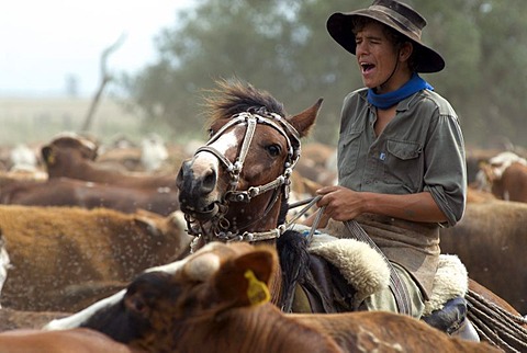 Gaucho argentina lasso hi-res stock photography and images - Alamy
