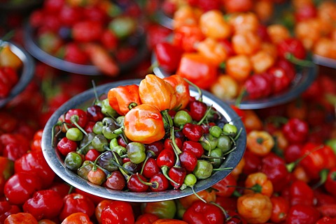 Peppers at Sao Joaquim market, Salvador (Salvador de Bahia), Bahia, Brazil, South America