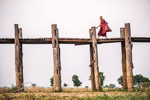 Buddhist Monk on U Bein Teak Bridge, a 1.2km wooden bridge, Mandalay, Mandalay Region, Myanmar (Burma)