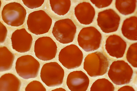 Patterns In Nature Robertharding News Inspiration Nature Patterns Patterns In Nature Robertharding News Inspiration Nature Patterns