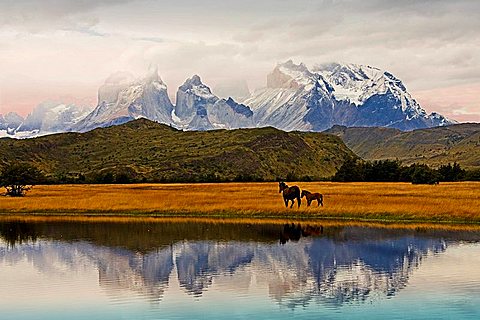 Hiking in the Torres del Paine