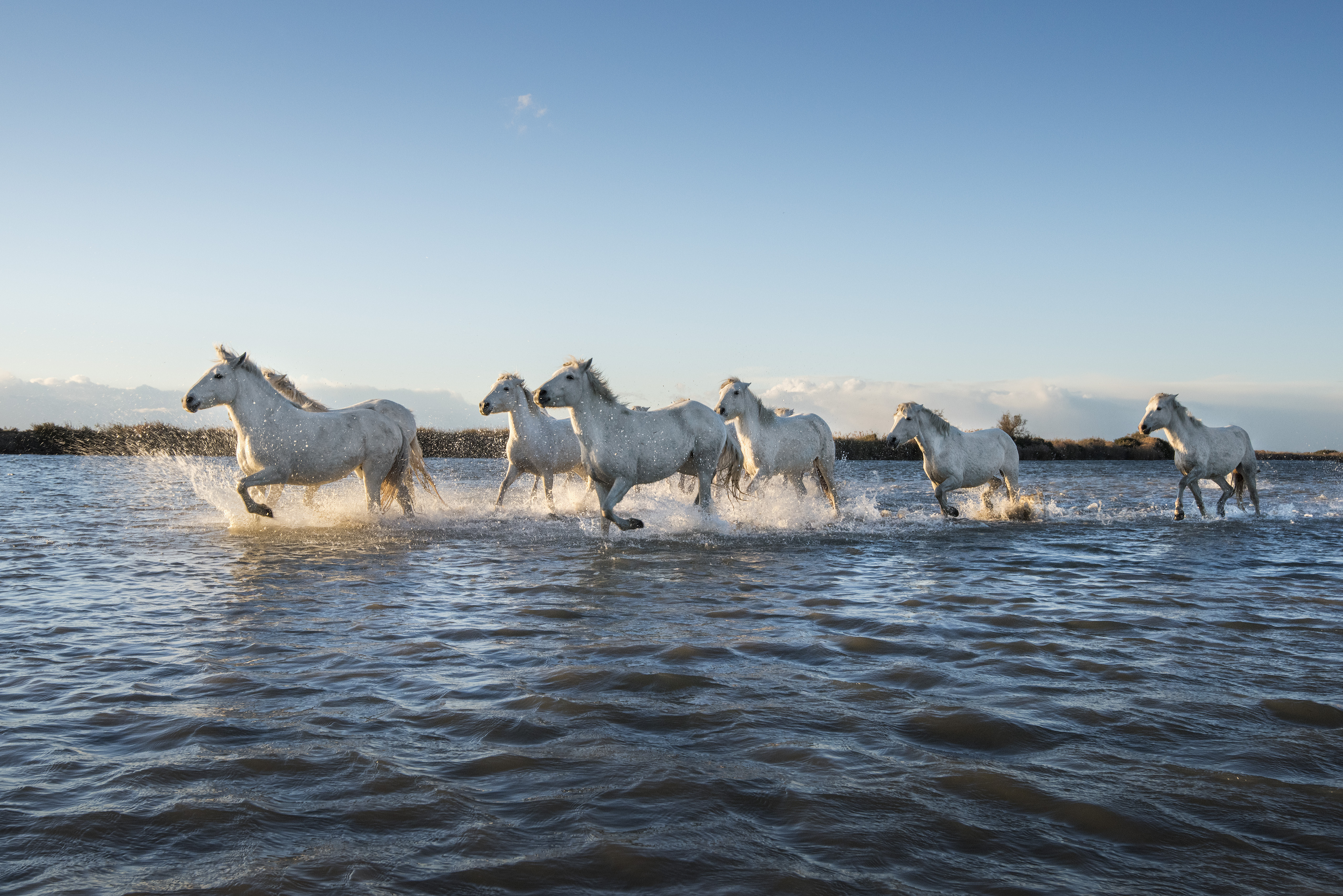 Fairer search returns for photographers at robertharding