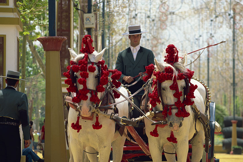 Jerez Horse Fair