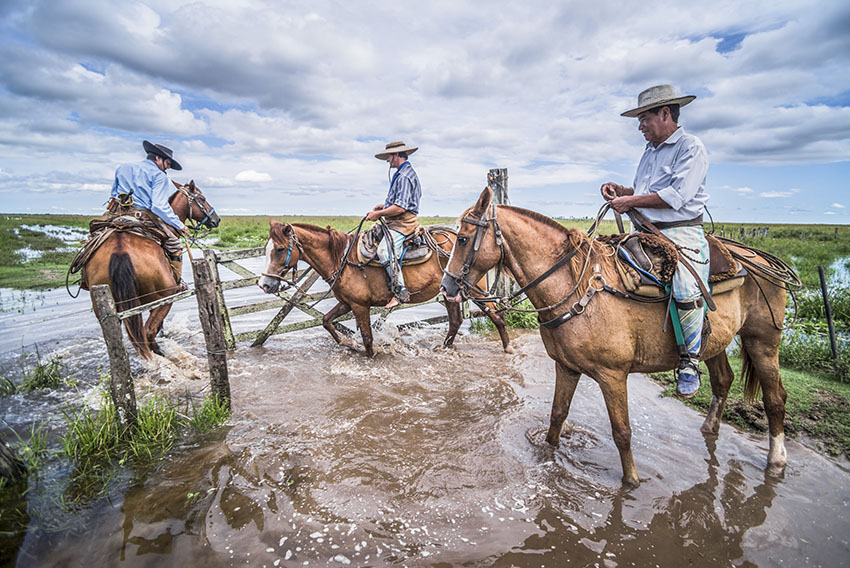 Gauchos by Matthew Williams-Ellis